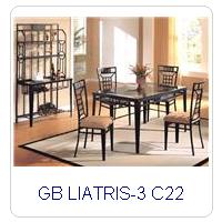 GB LIATRIS-3 C22